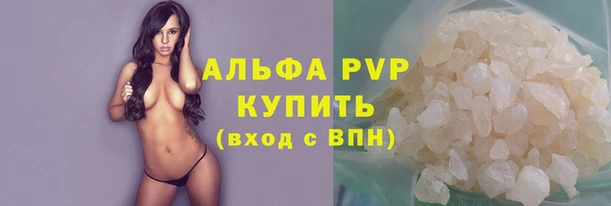 сатива Арсеньев