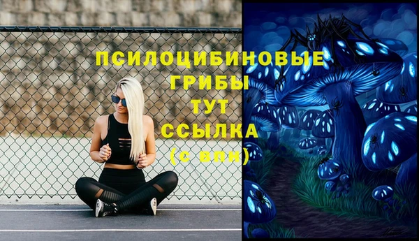 трава Баксан