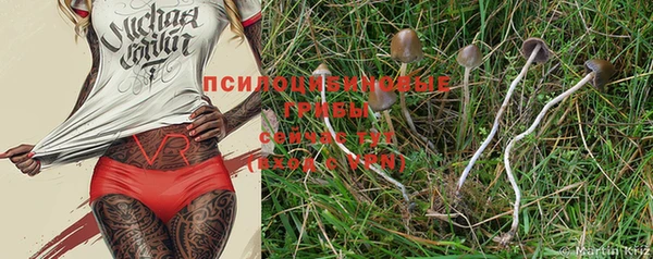 хмурый Покров